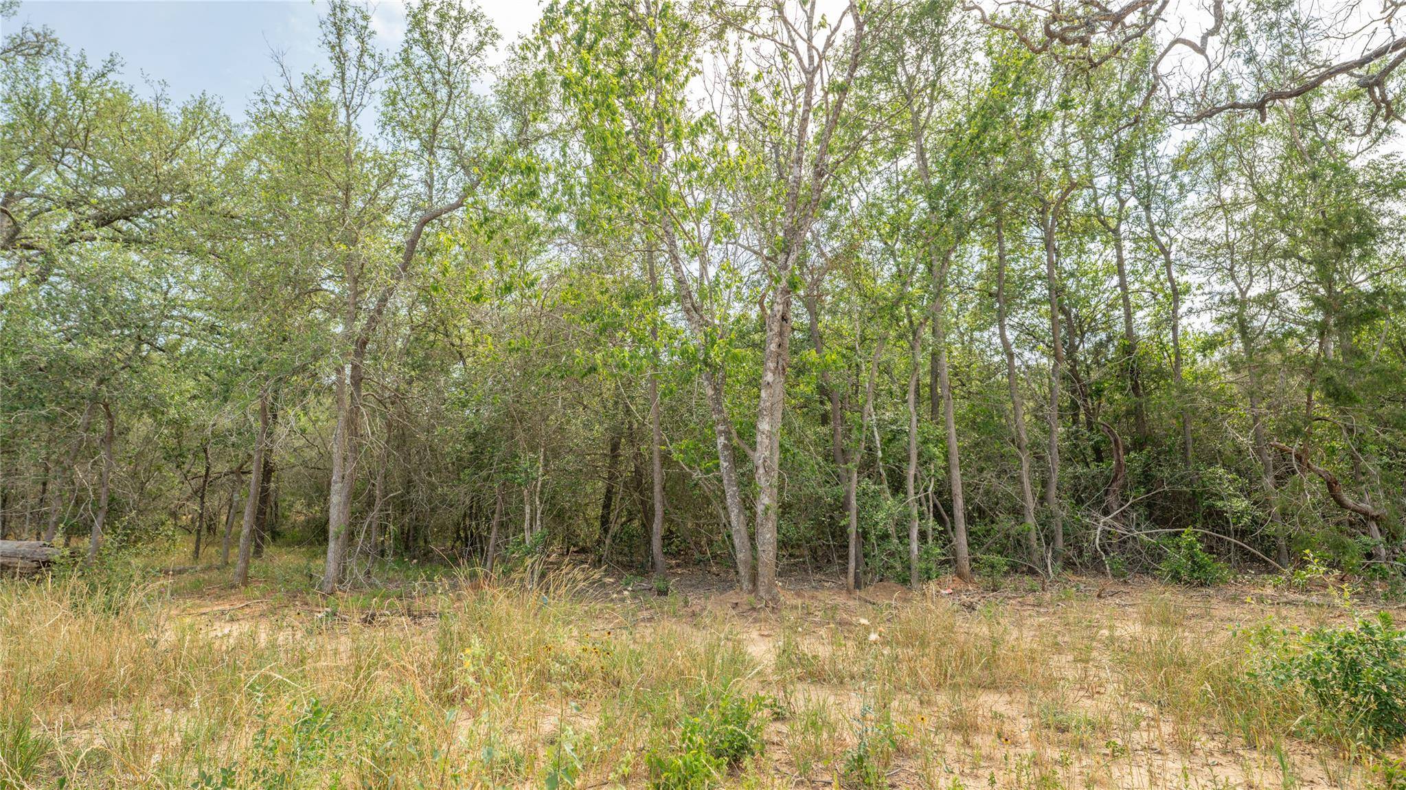 926 Ferguson LOOP, Dale, TX 78616