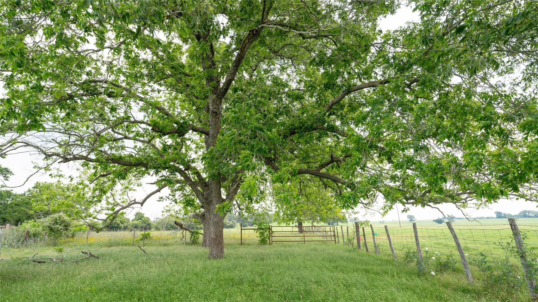 0000 CR 316, Caldwell, TX 77836