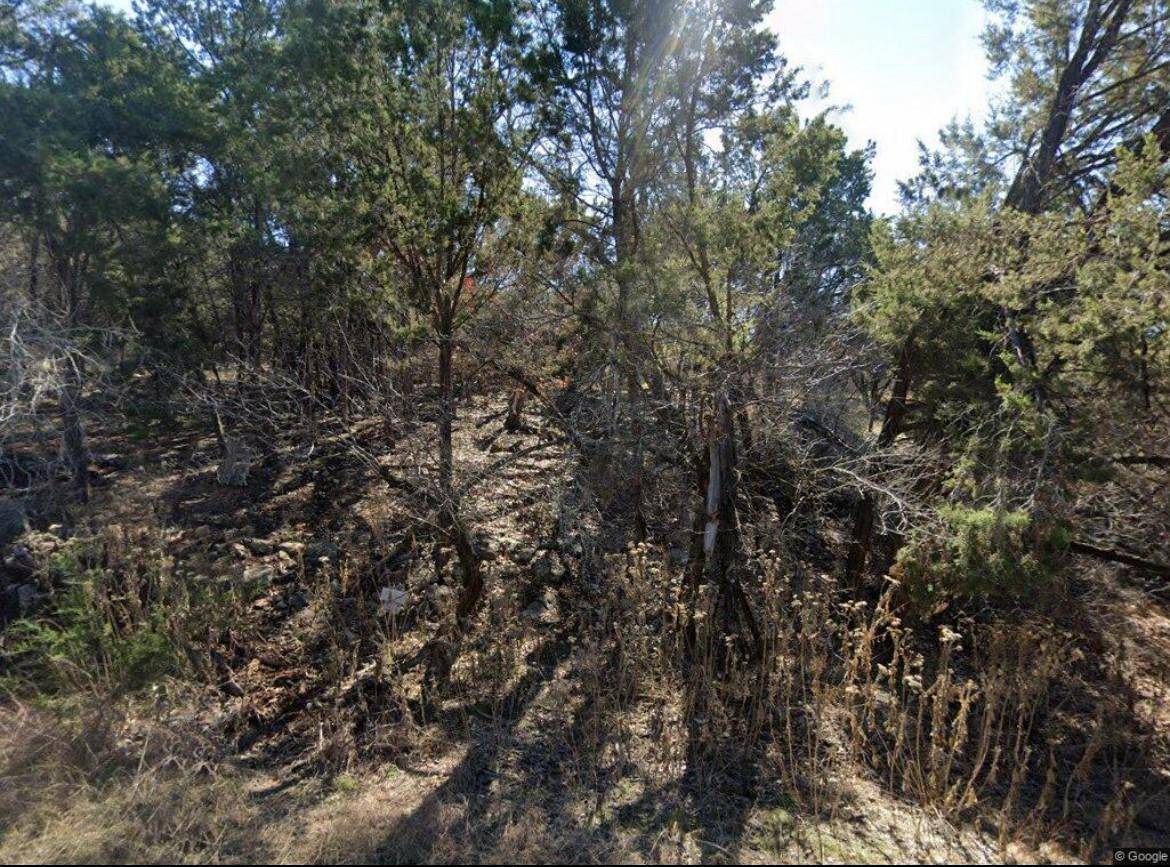 20203 Collier LN, Lago Vista, TX 78645