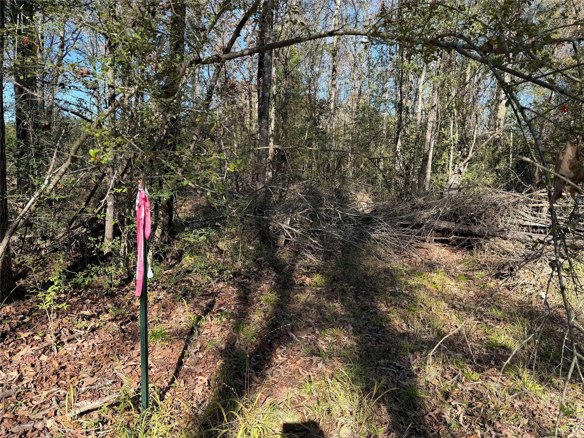 128 County Road 301 Tract 7, Fairfield, TX 75855