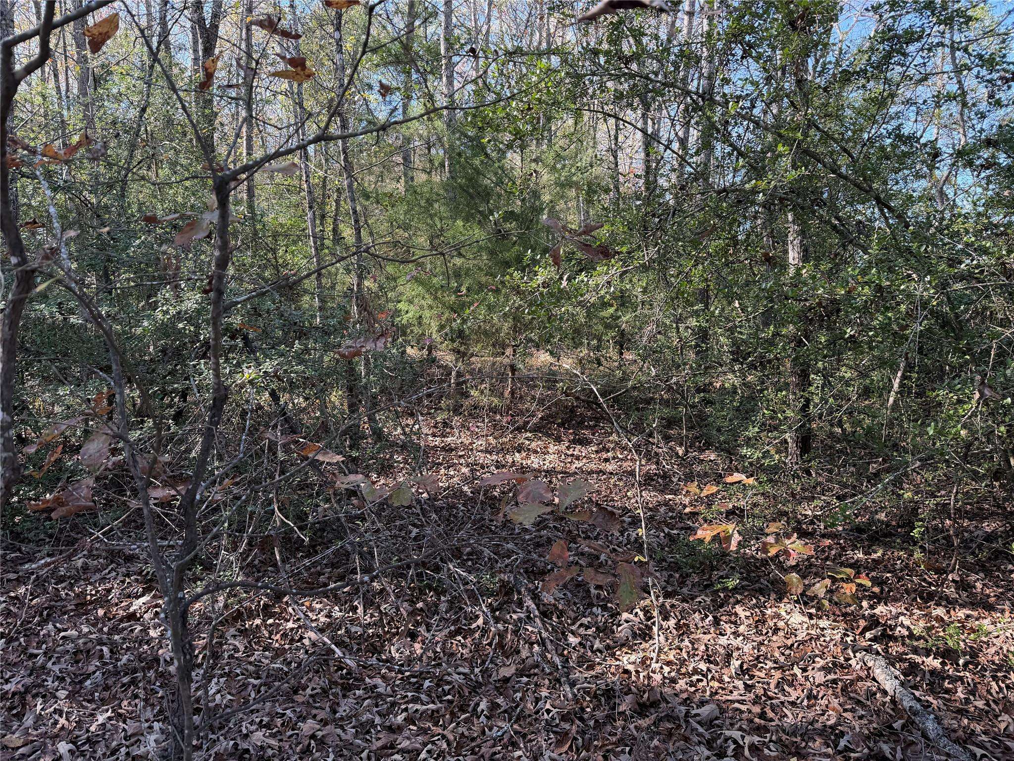 128 County Road 301 Tract 7, Fairfield, TX 75855