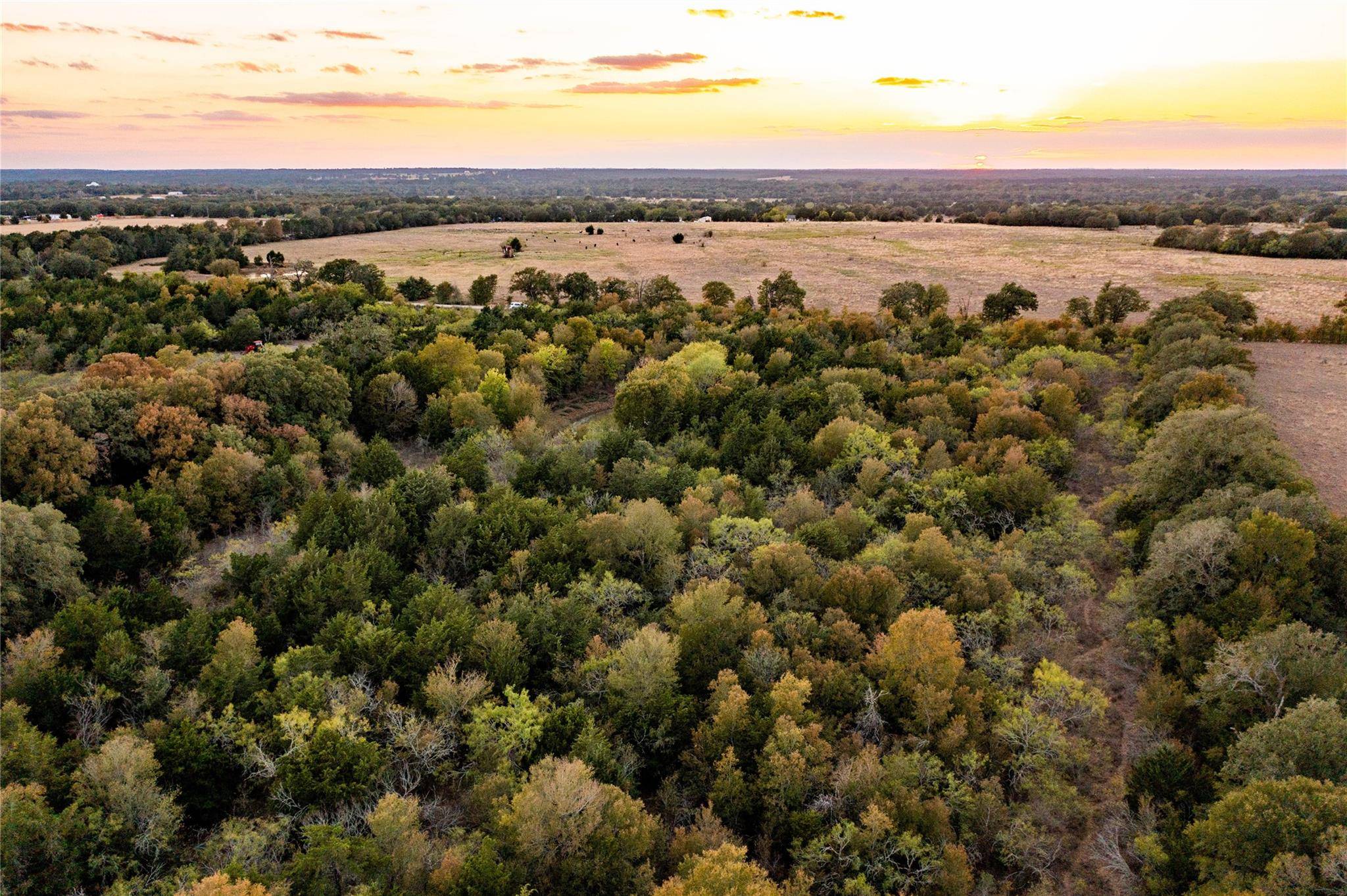 000 TBD 17+/- Ac Grassyville RD, Paige, TX 78659