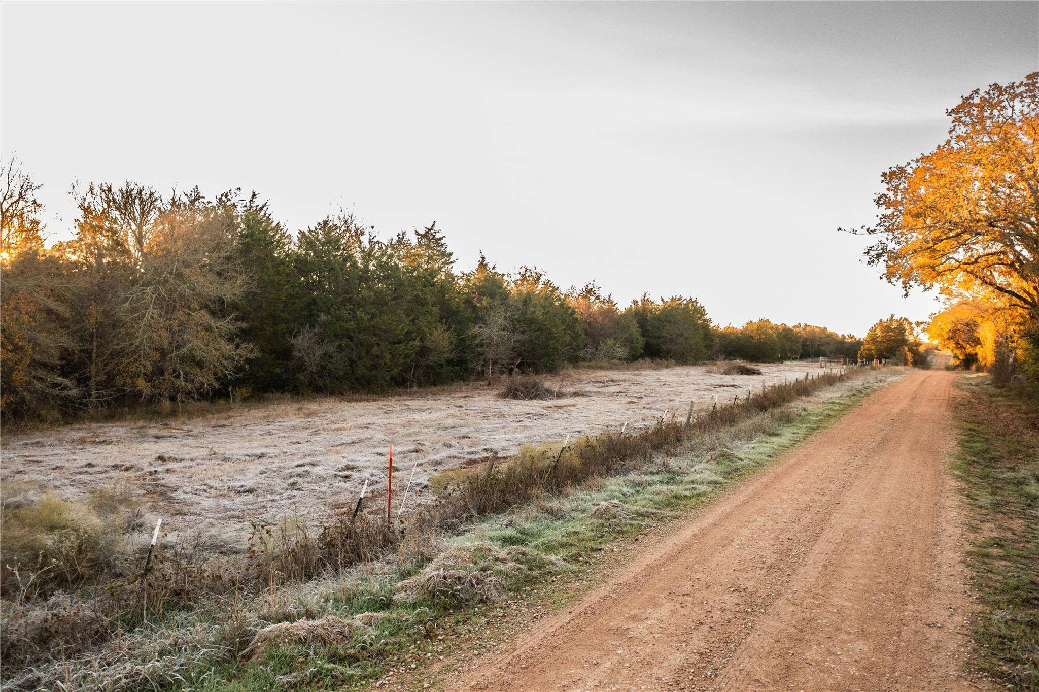 000 TBD 17+/- Ac Grassyville RD, Paige, TX 78659
