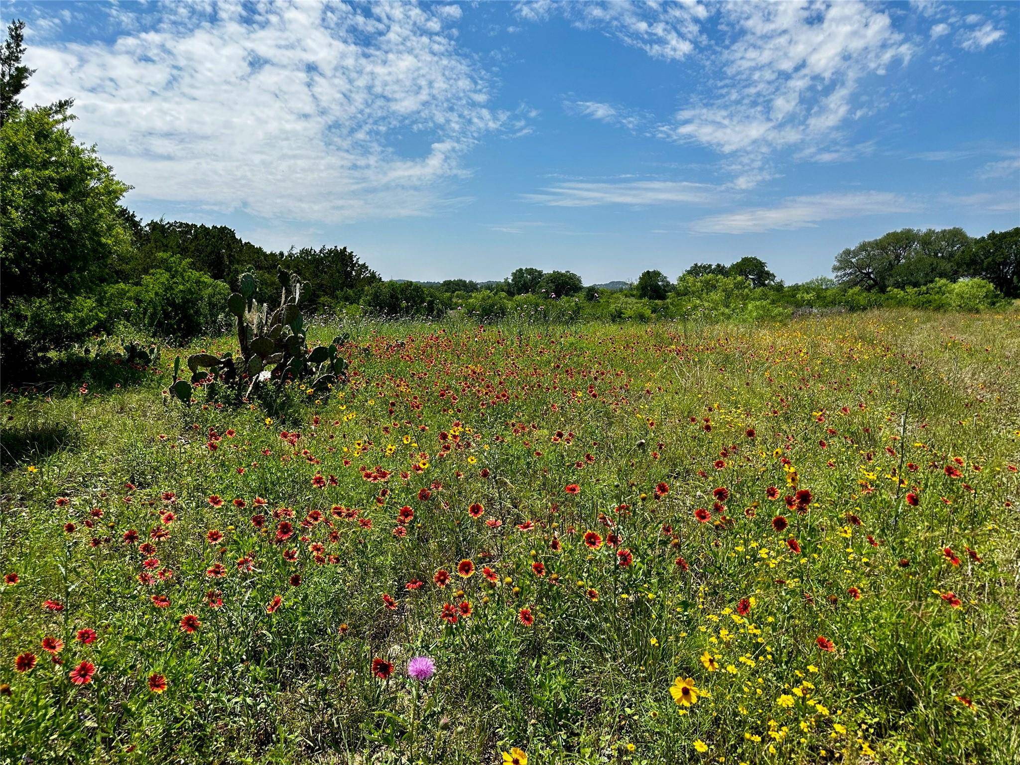Lot 5 Colorado Canyon DR, Marble Falls, TX 78654