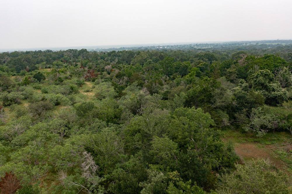 LOT 2 Private Road 4601, Waelder, TX 78959