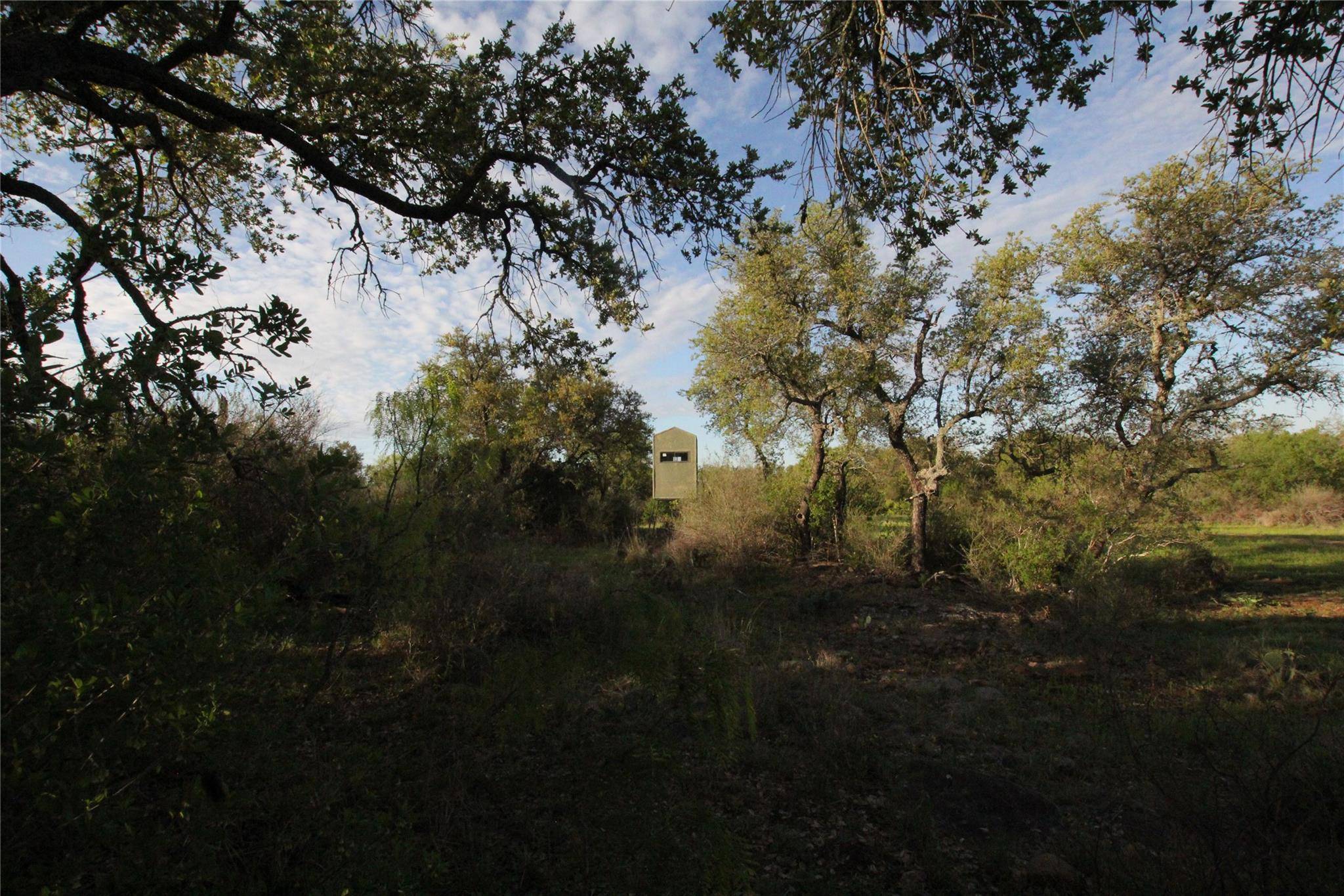 2976 Lower Willow Creek RD, Mason, TX 76820