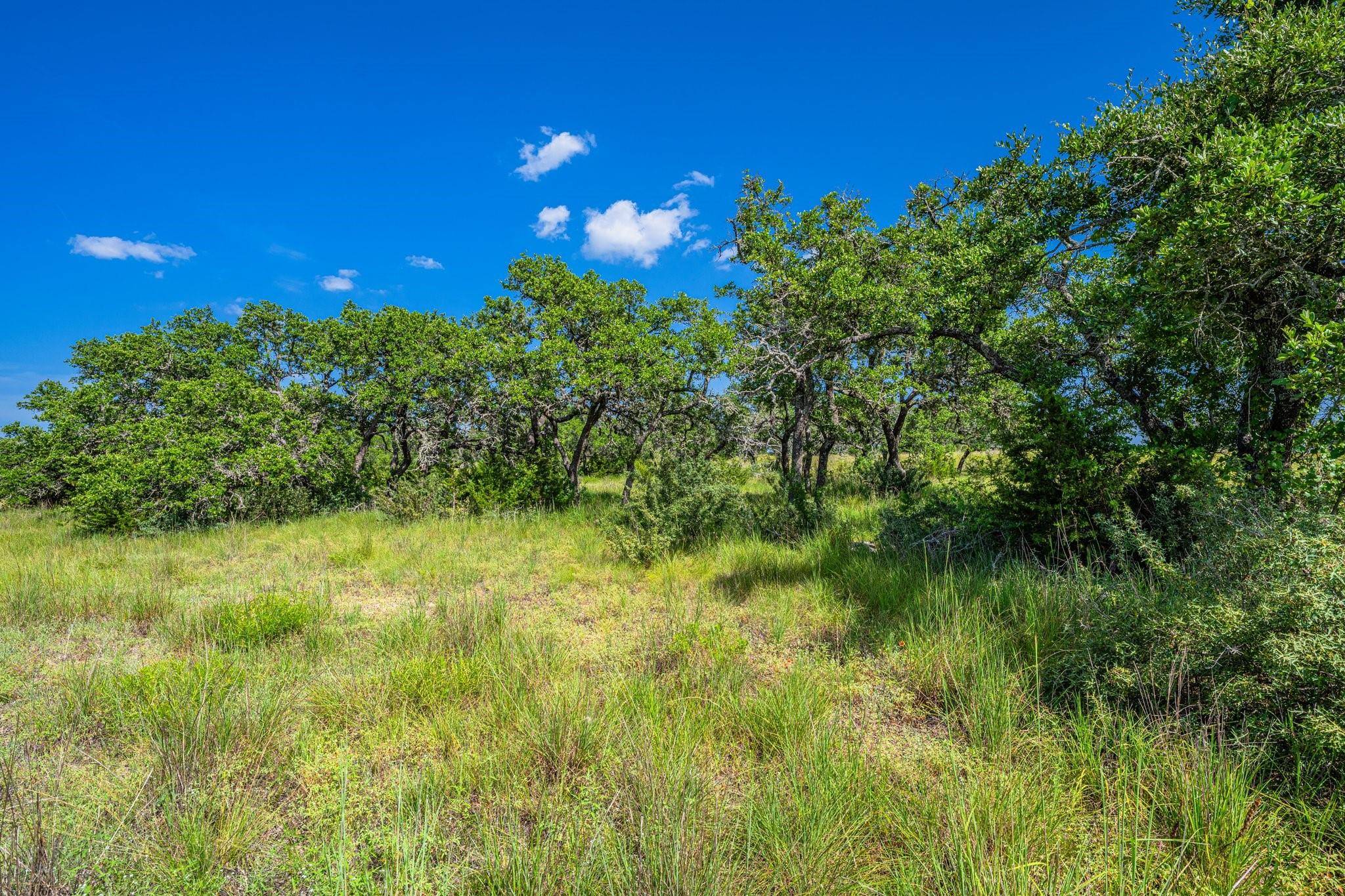 613 Cattle Creek RD, Johnson City, TX 78636
