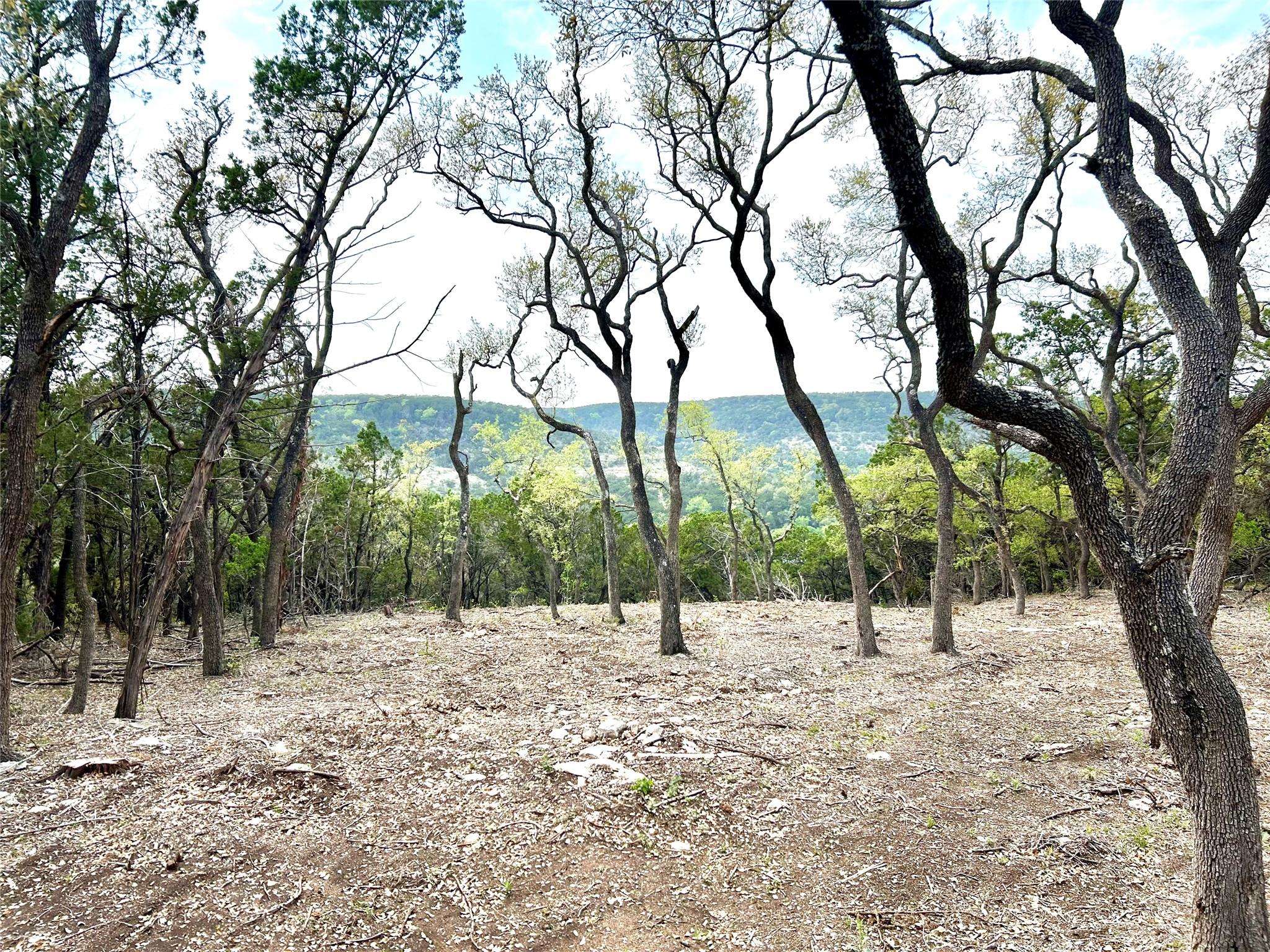 10651 Ranch Road 12 UN #D, Wimberley, TX 78676