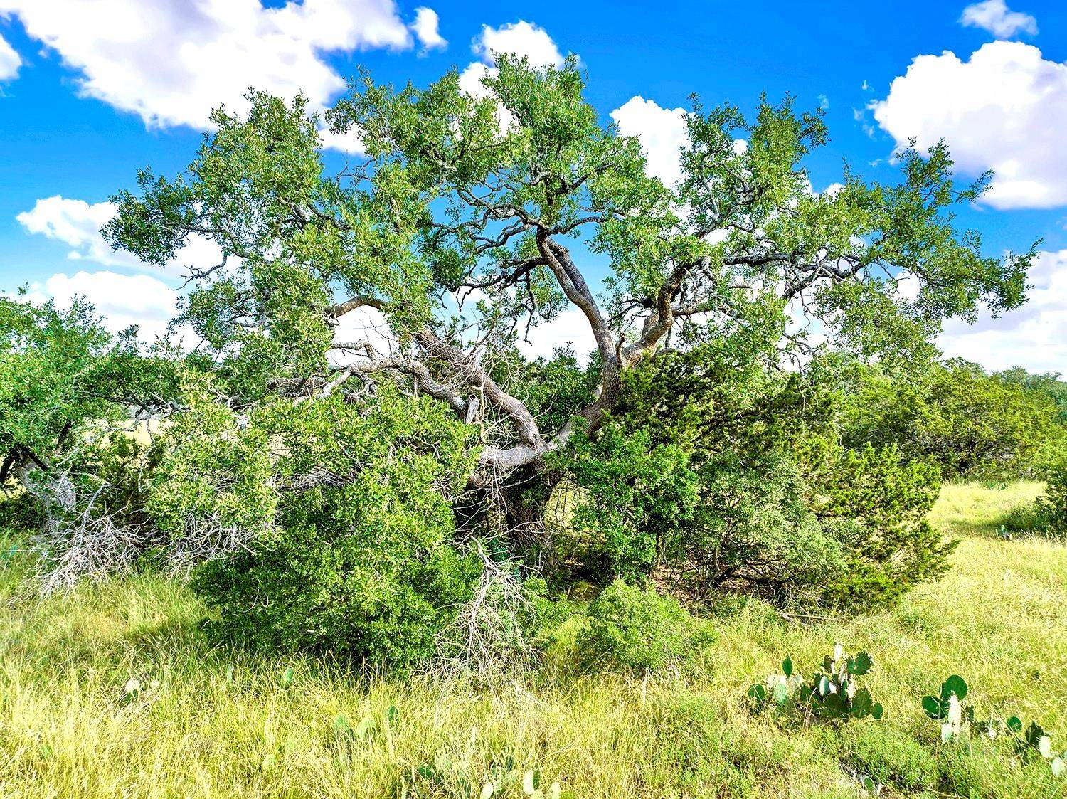 TBD Oakwood LOOP, San Marcos, TX 78666