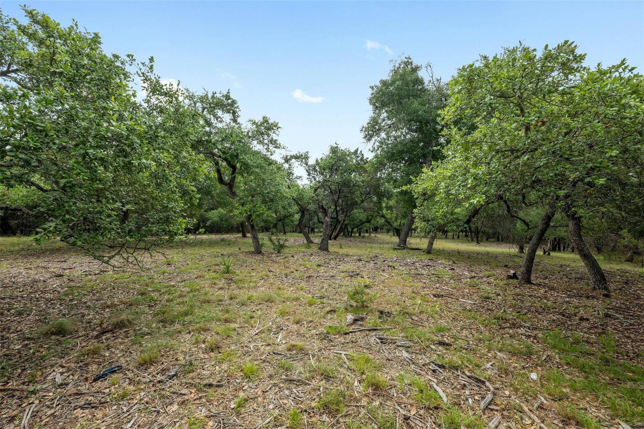 1005 Covered Bridge DR, Driftwood, TX 78619