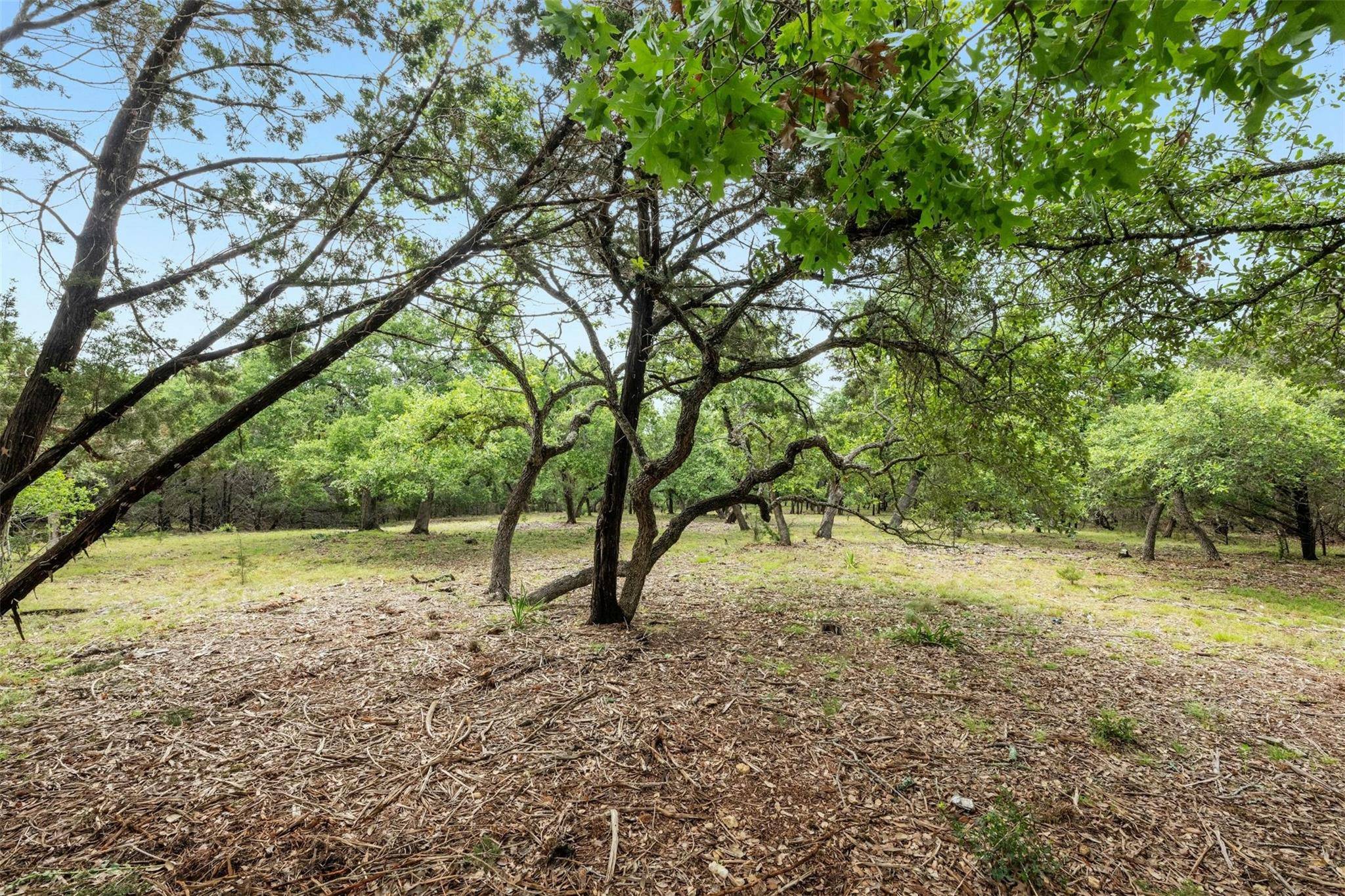 1005 Covered Bridge DR, Driftwood, TX 78619