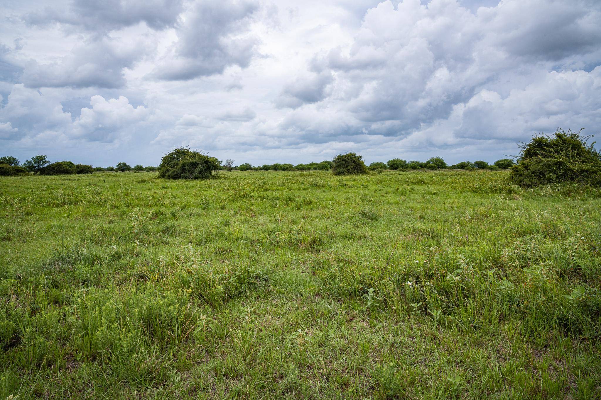 TBD Rice RD, Bernardo, TX 78933