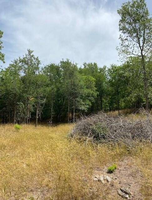 108 W Kikipua LN, Bastrop, TX 78602