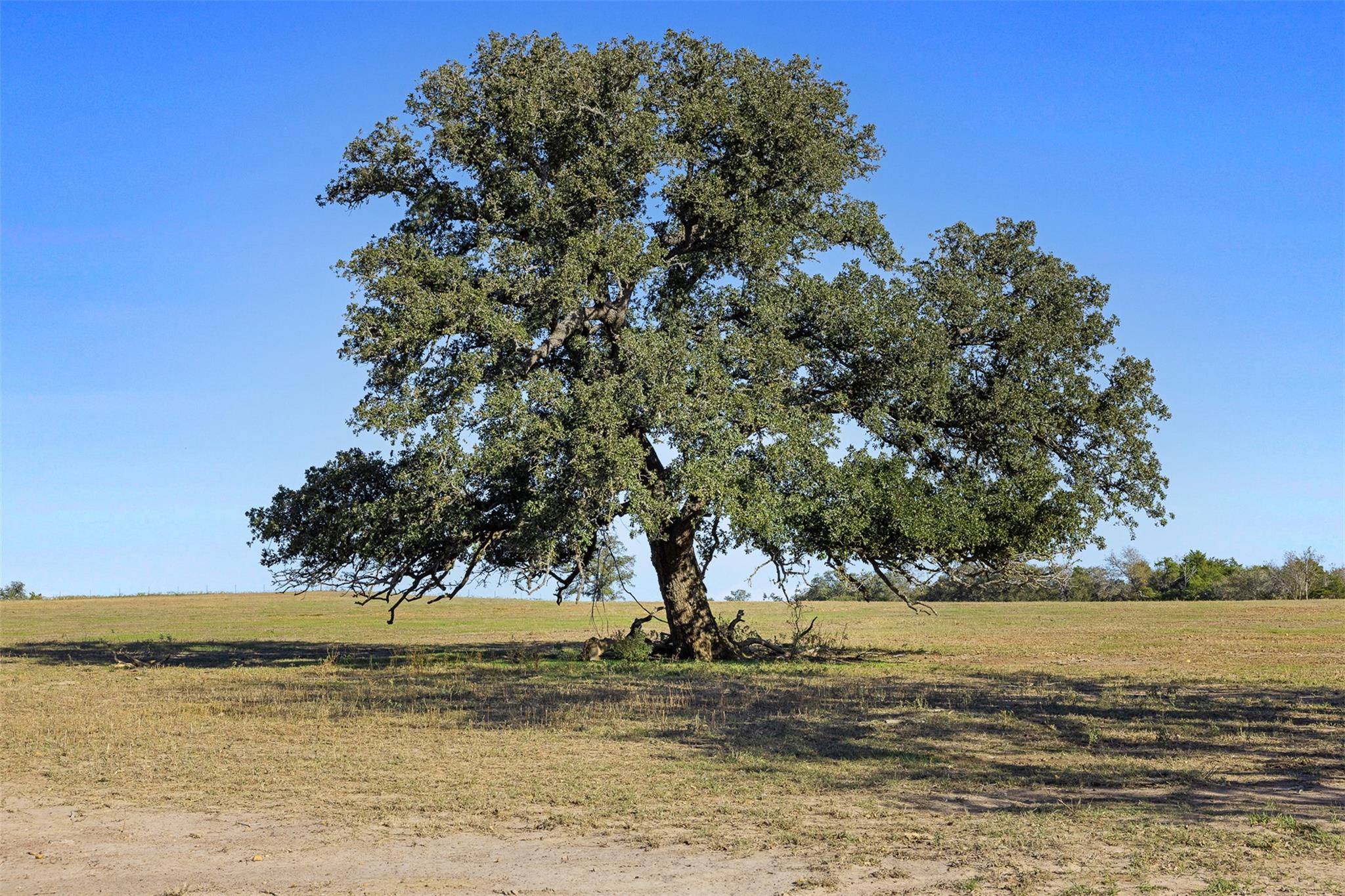 TBD Stockade Ranch RD, Paige, TX 78659