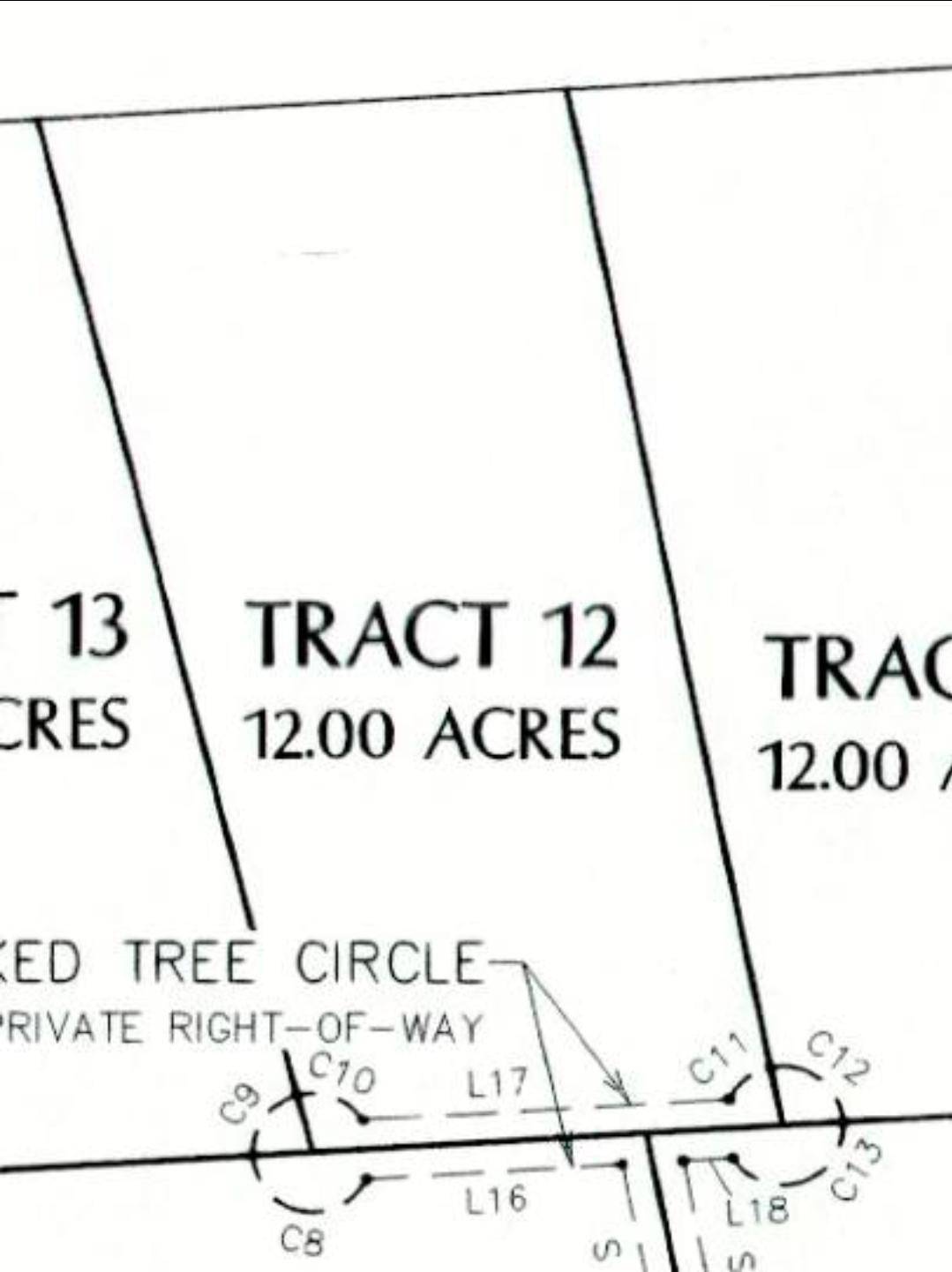 TBD CROOKED TREE CIR, Harper, TX 78631