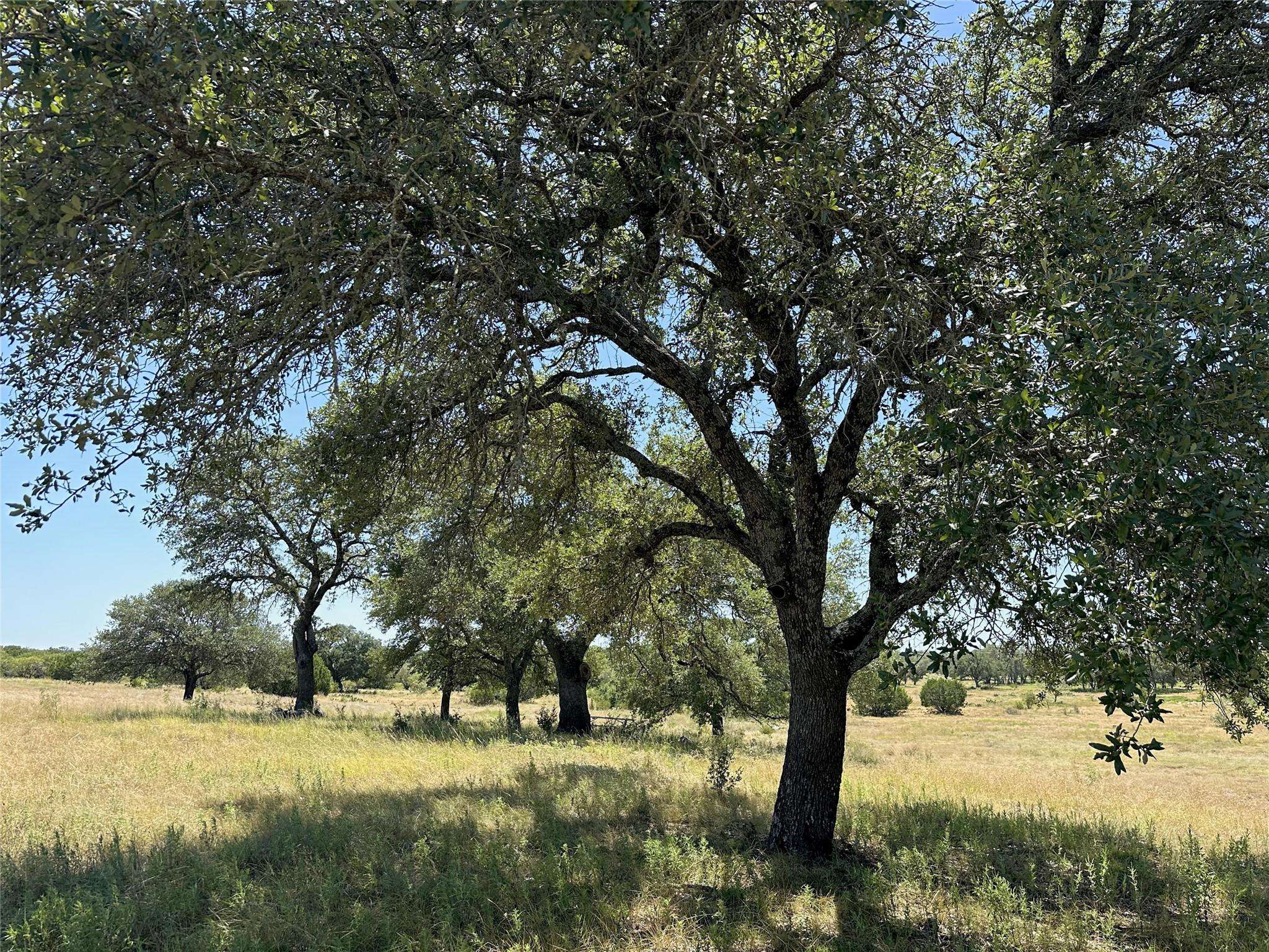 Lot 231 Winecup DR, Lampasas, TX 76550
