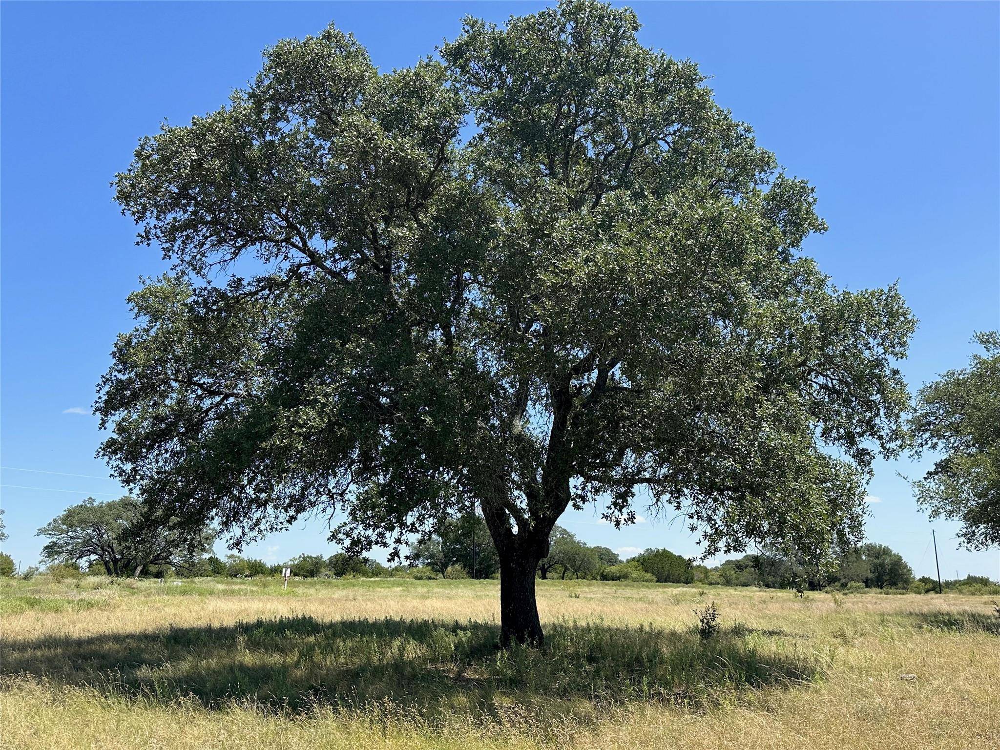 Lot 231 Winecup DR, Lampasas, TX 76550