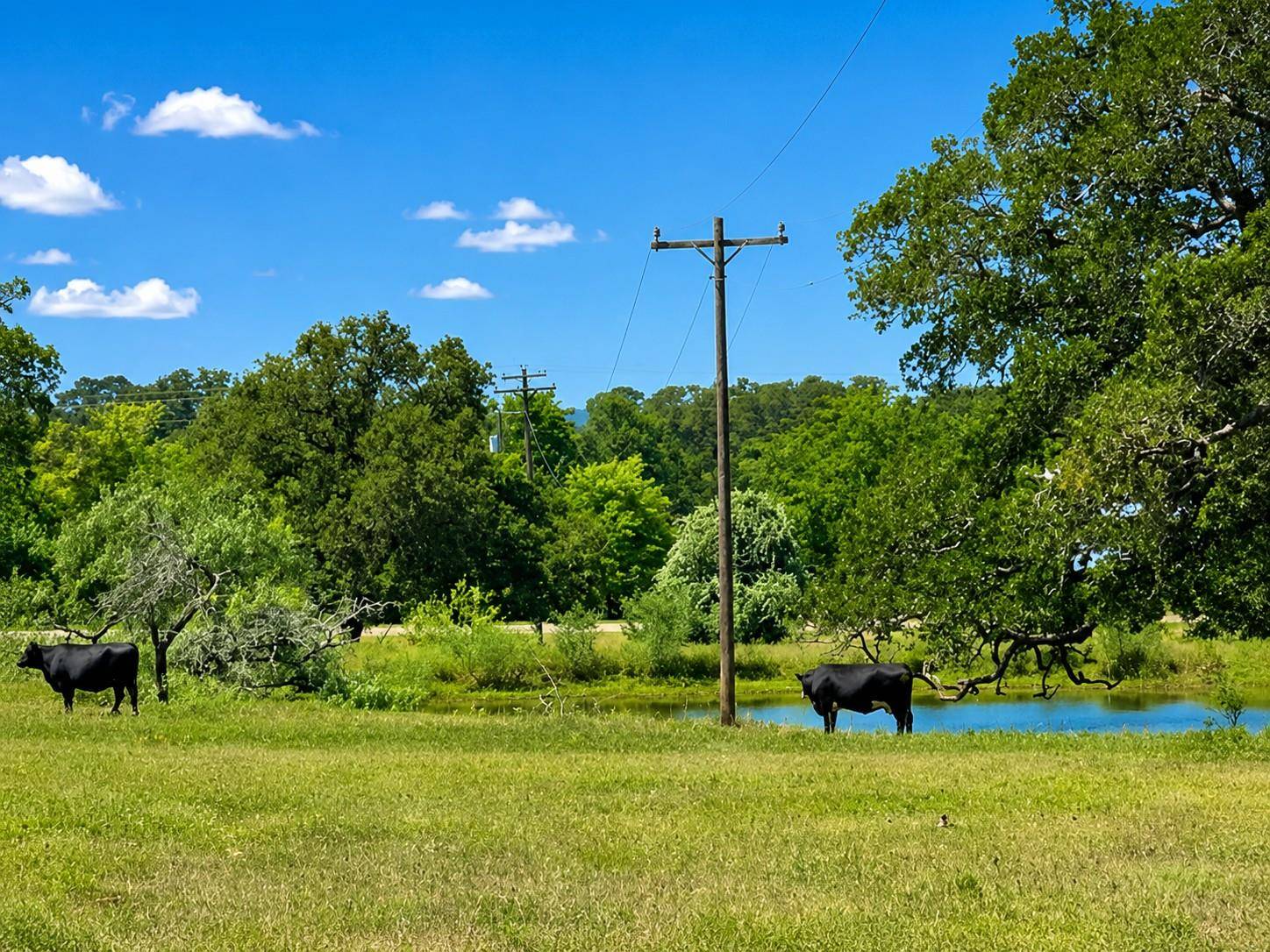 1583 S Us Highway 77 HWY, Giddings, TX 78942