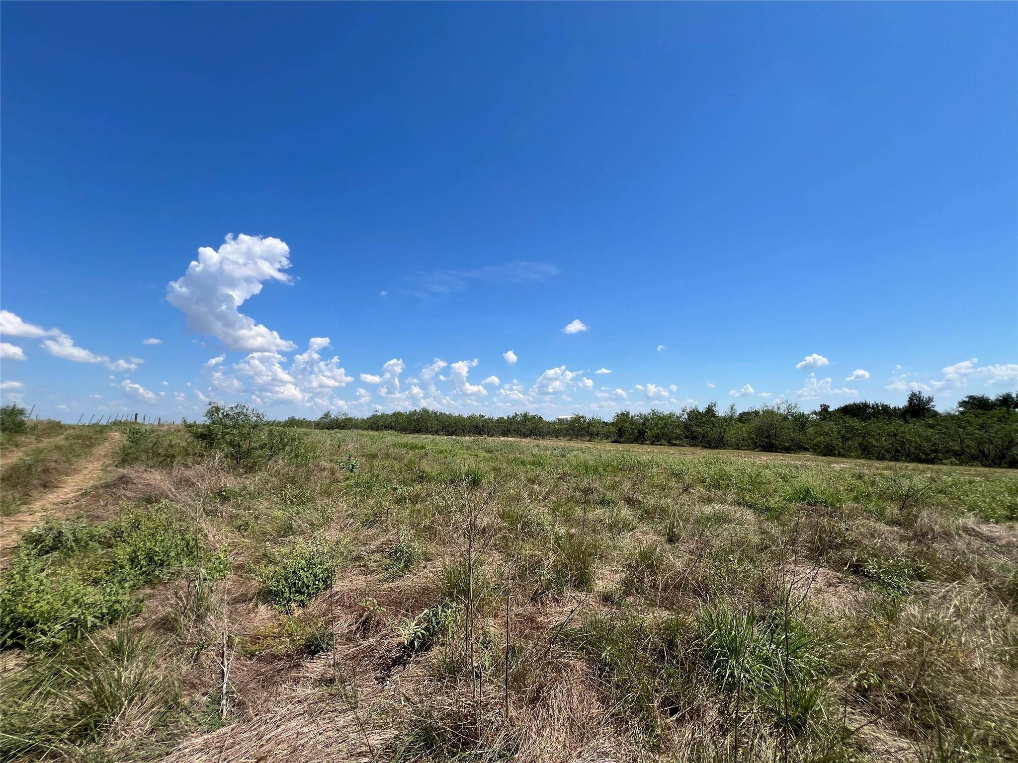 2614 CR 466, Elgin, TX 78621