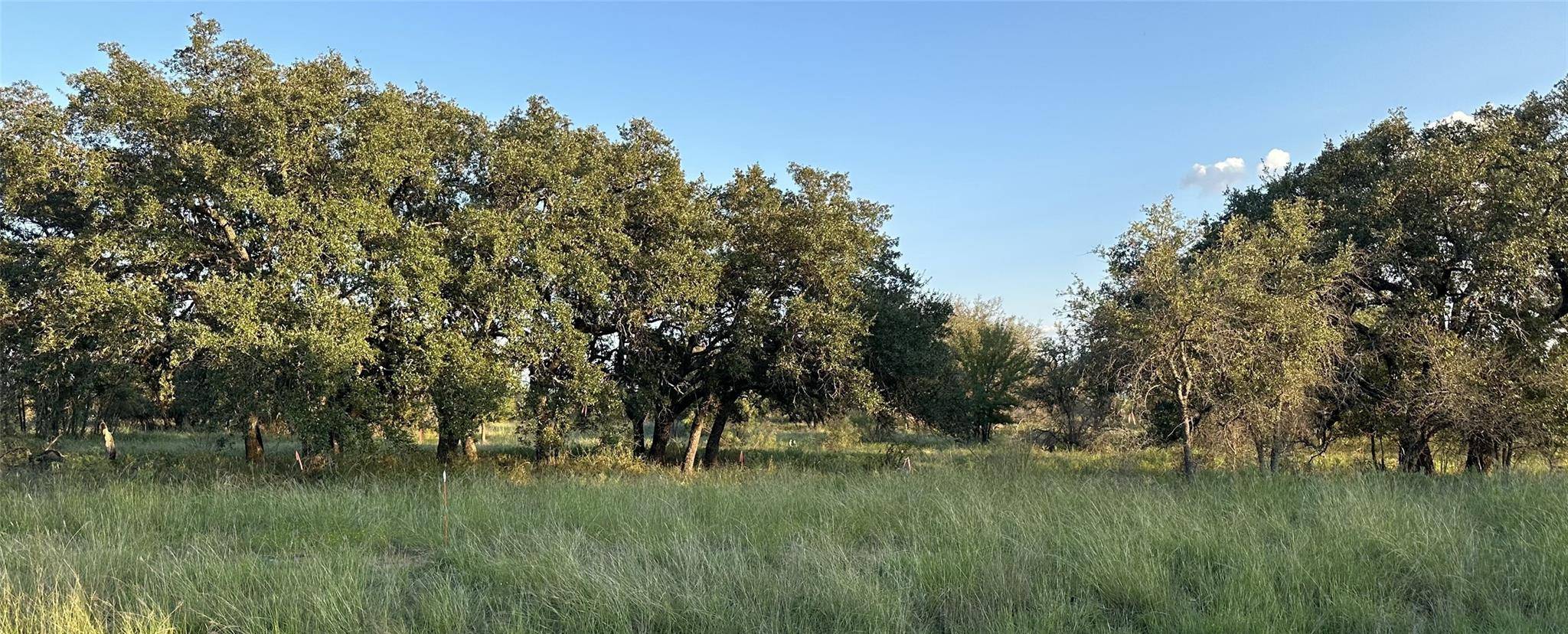 TBD Safe Harbor DR, Brownwood, TX 76801