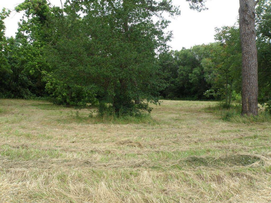 409 E Palestine Ave, Palestine, TX 75801