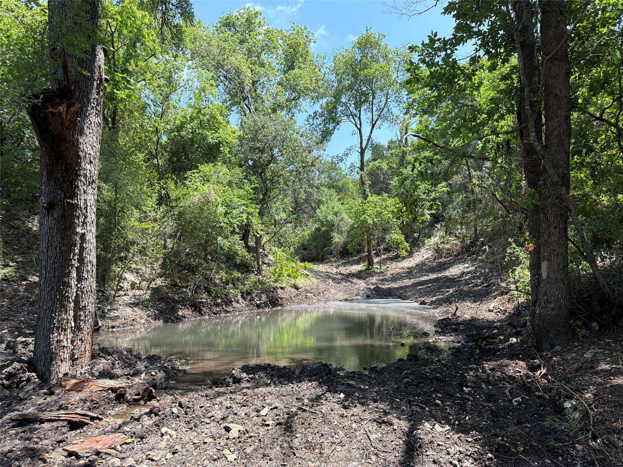 TBD FM 2955, Gatesville, TX 76528