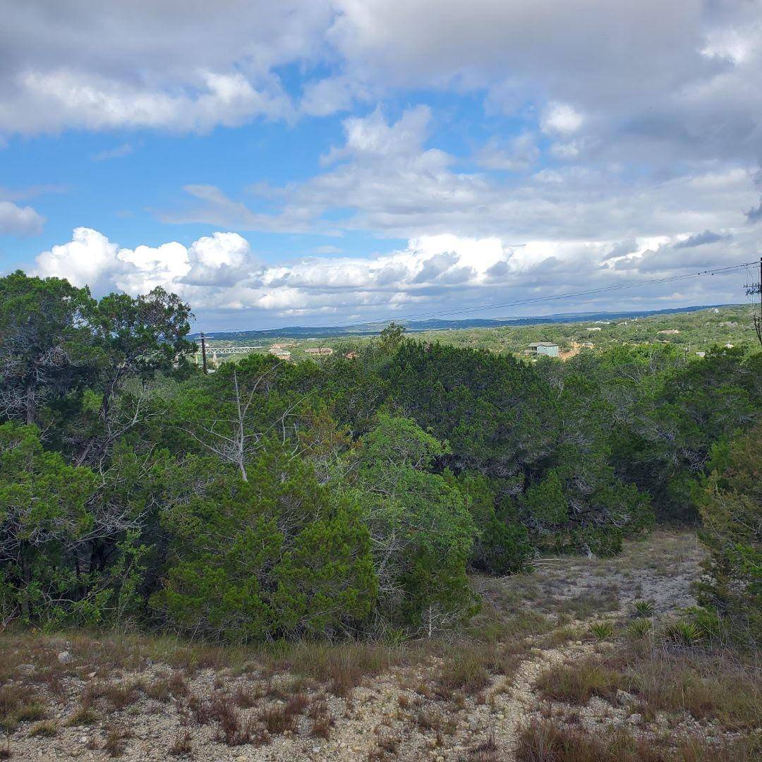 2303 Pace Bend RD S, Spicewood, TX 78669
