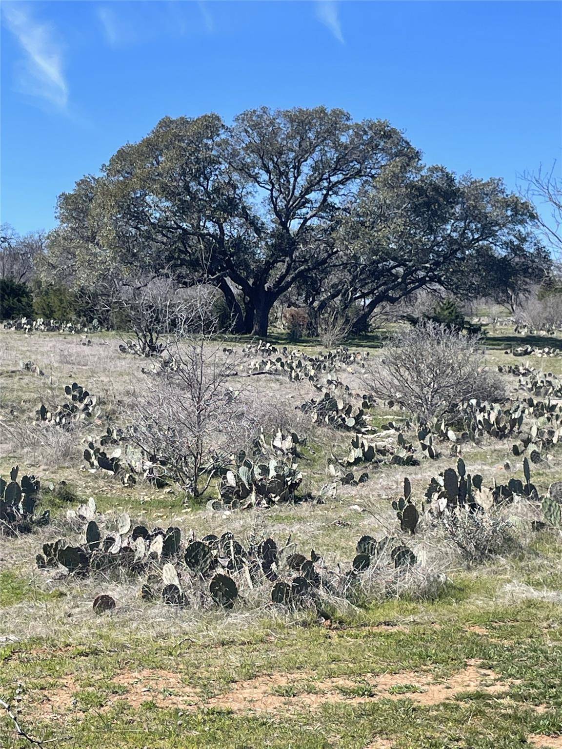 Address not disclosed, San Saba, TX 76877