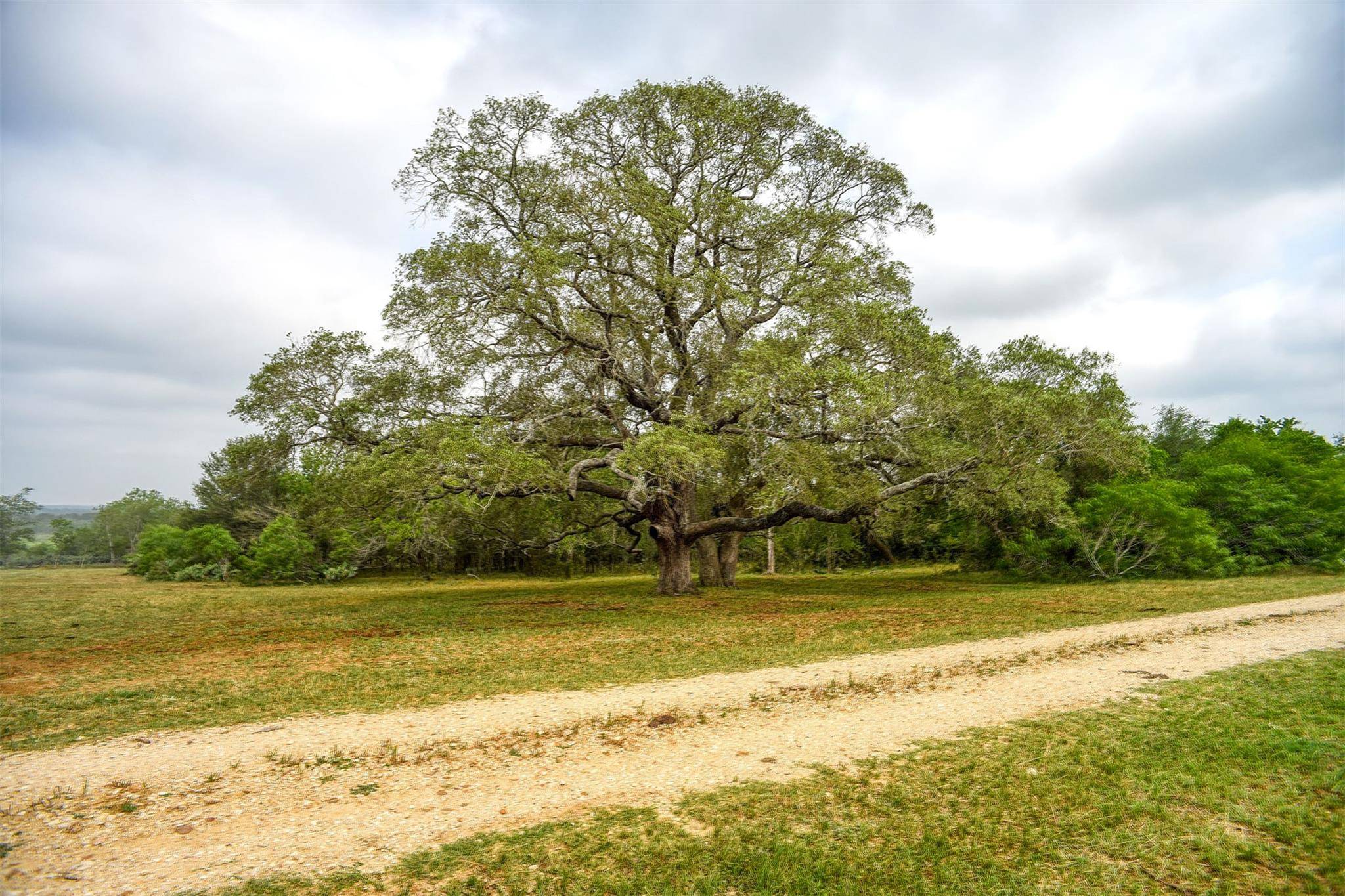 323 CR 446, Gonzales, TX 78629