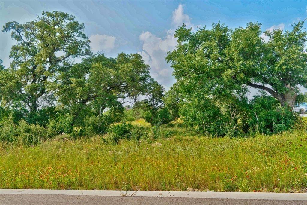 Lot 197 Marble Falls CT, Spicewood, TX 78669