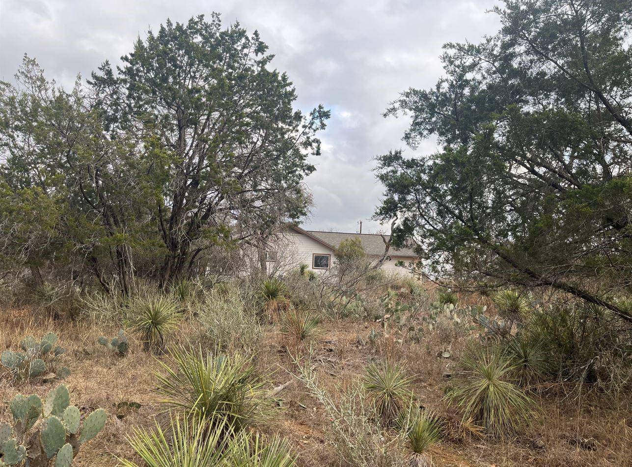 Lot 262 W Briarway DR, Granite Shoals, TX 78654