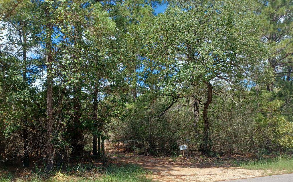 172 Pine Canyon DR, Smithville, TX 78957