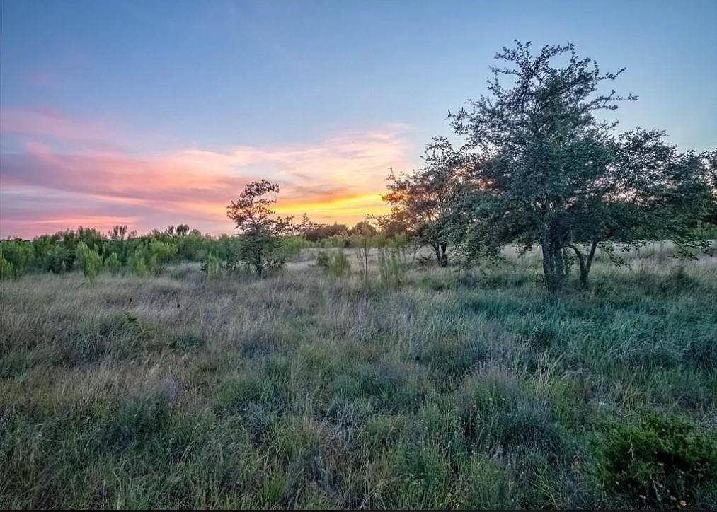 Lot 185 Three Creeks DR, Bertram, TX 78605