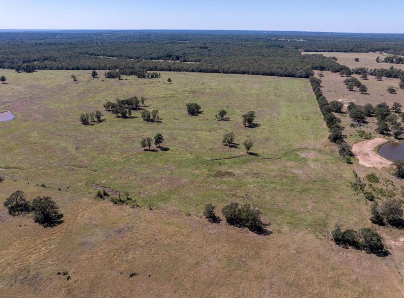 1078 Old Pin Oak RD #Tract 2, Paige, TX 78659