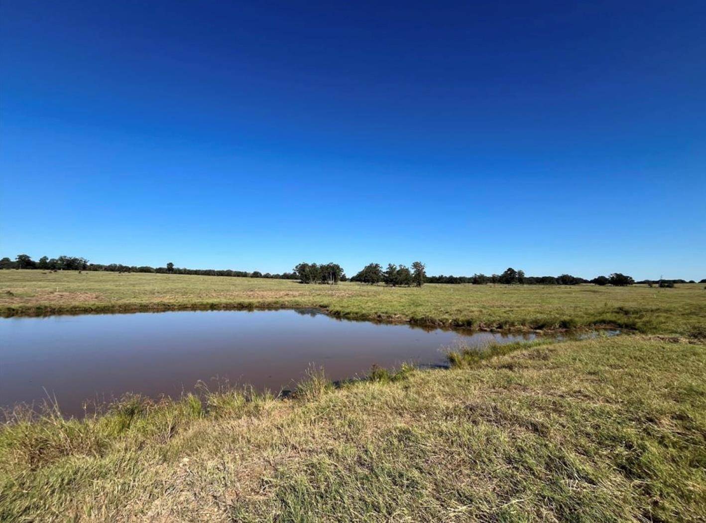 1078 Old Pin Oak RD #Tract 2, Paige, TX 78659