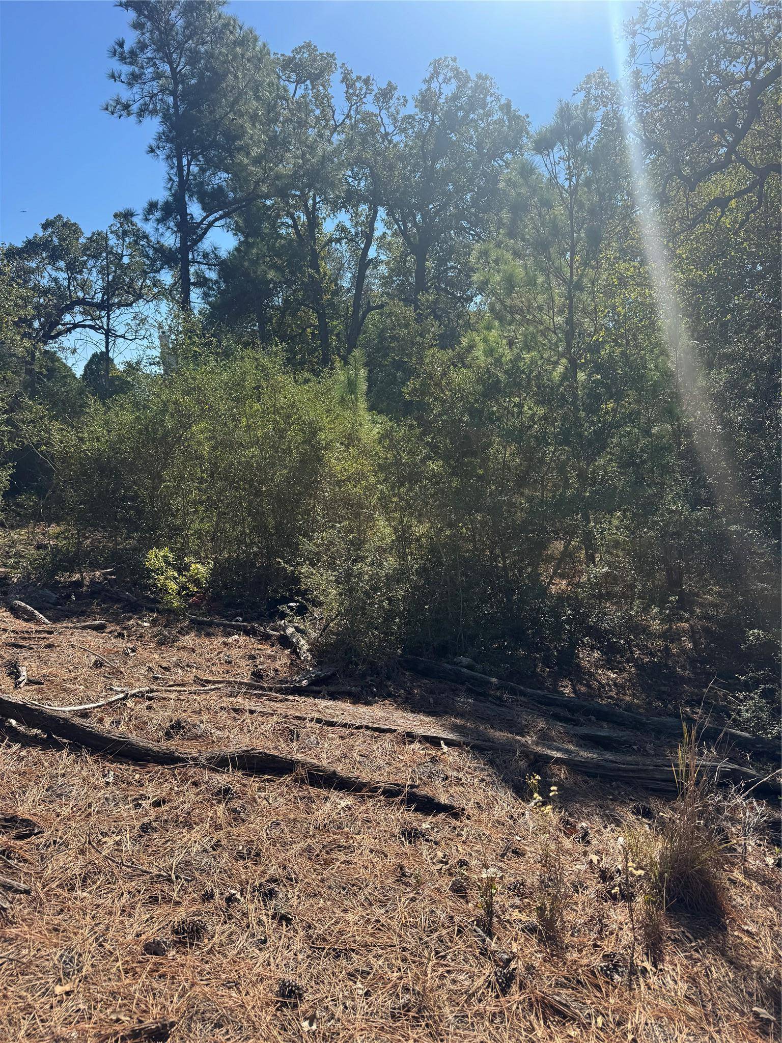 Lot 97 Kaelepulu DR, Bastrop, TX 78602