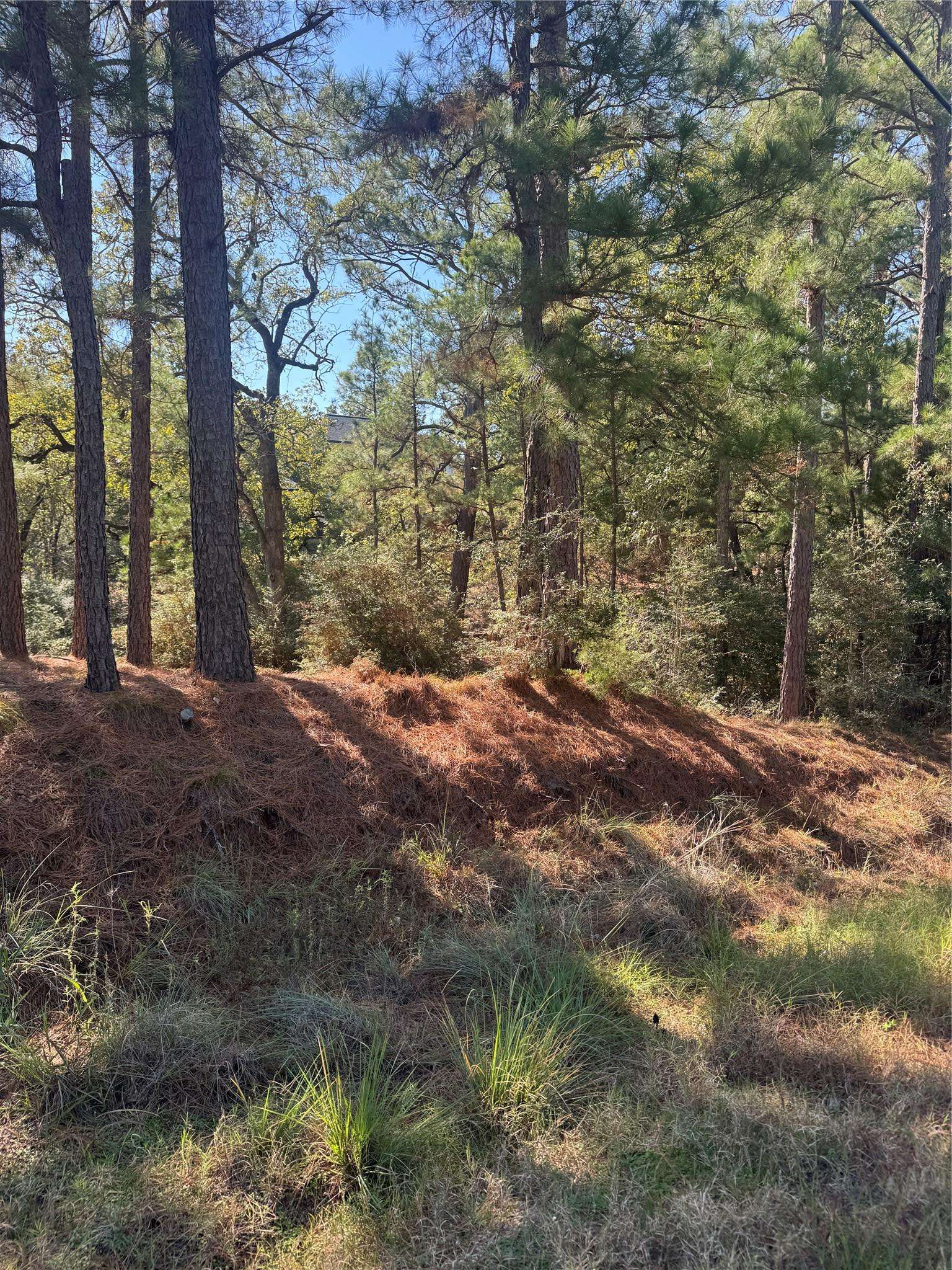 Lot 97 Kaelepulu DR, Bastrop, TX 78602