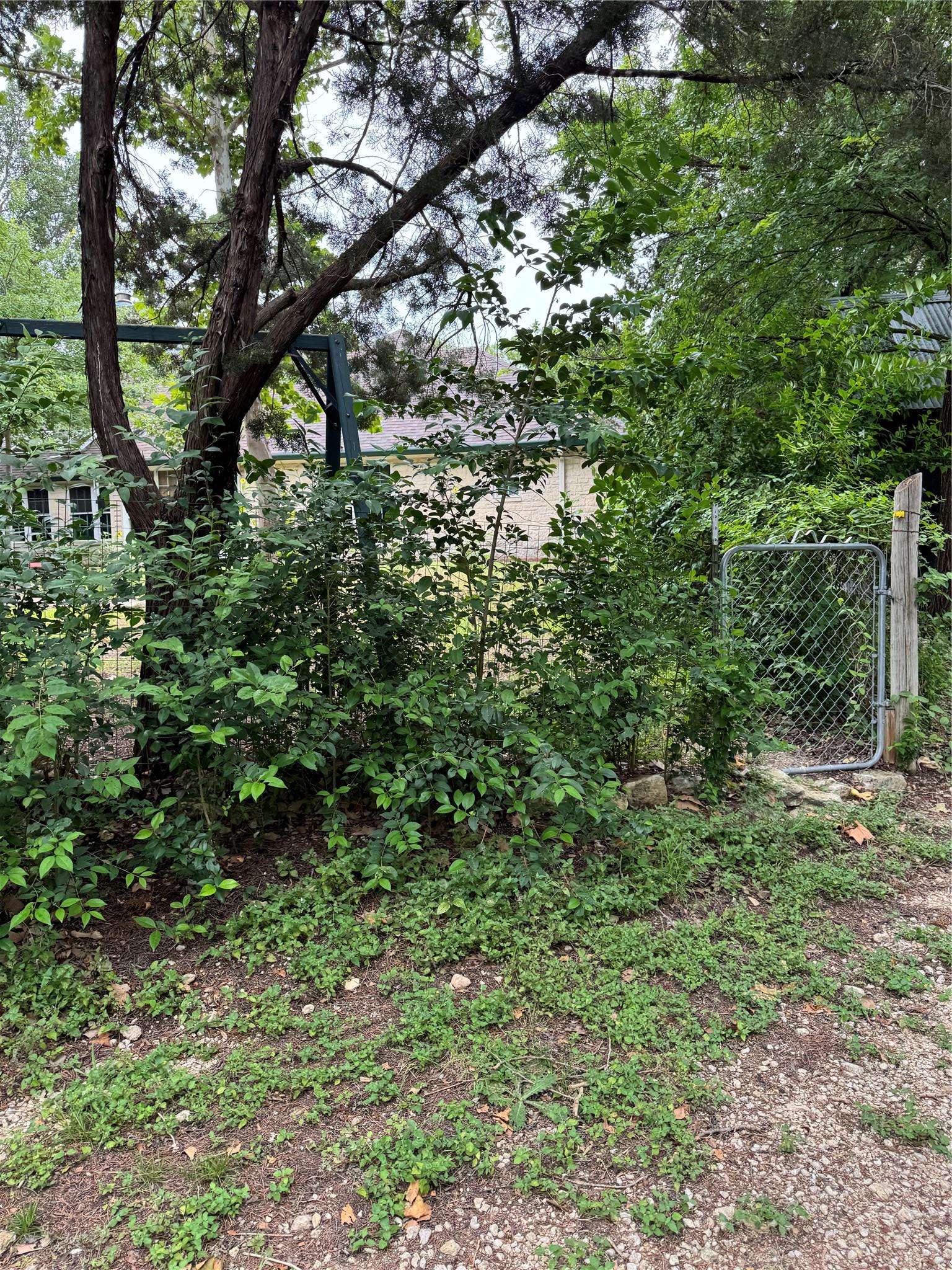 3201 Little Nolan RD, Killeen, TX 76542
