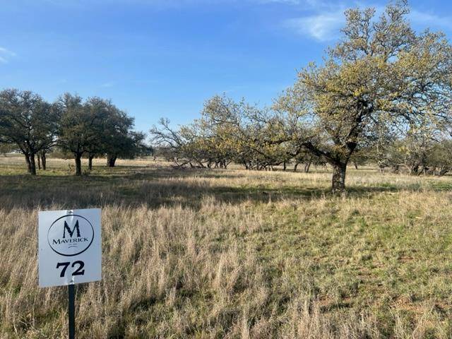 LOT 72 Fallow DR, Harper, TX 78631