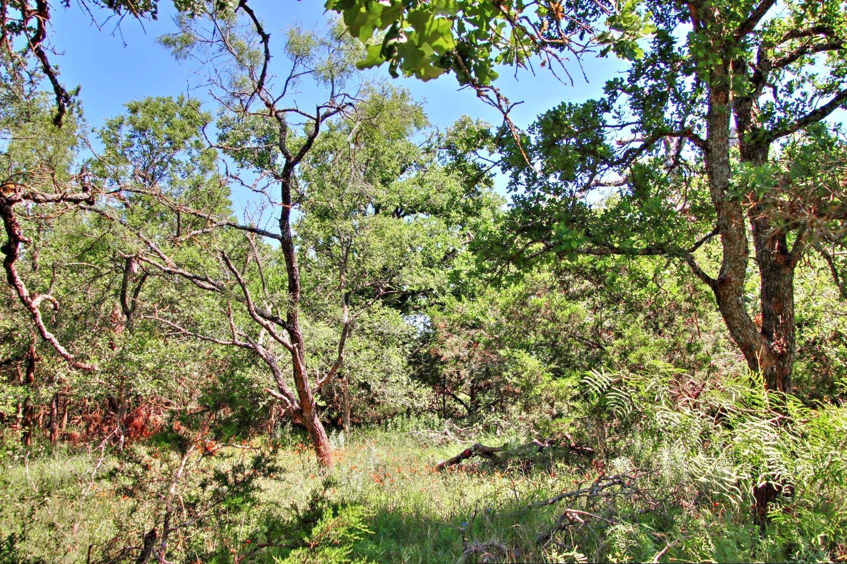 Lot 6 RM 1323, Willow City, TX 78675