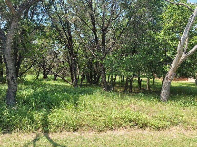35060 Oak Forest DR, Whitney, TX 76692