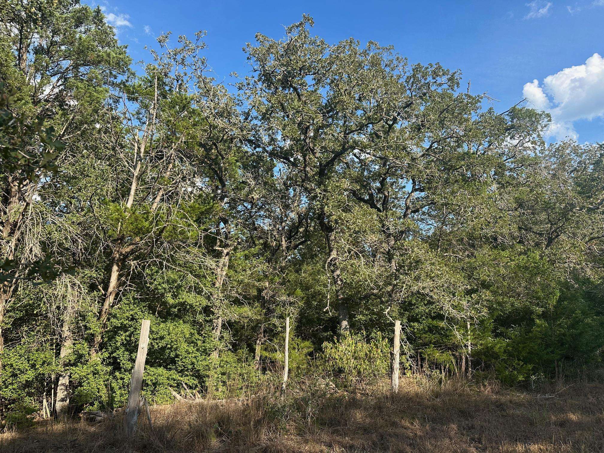 000 Rook RD, West Point, TX 78963