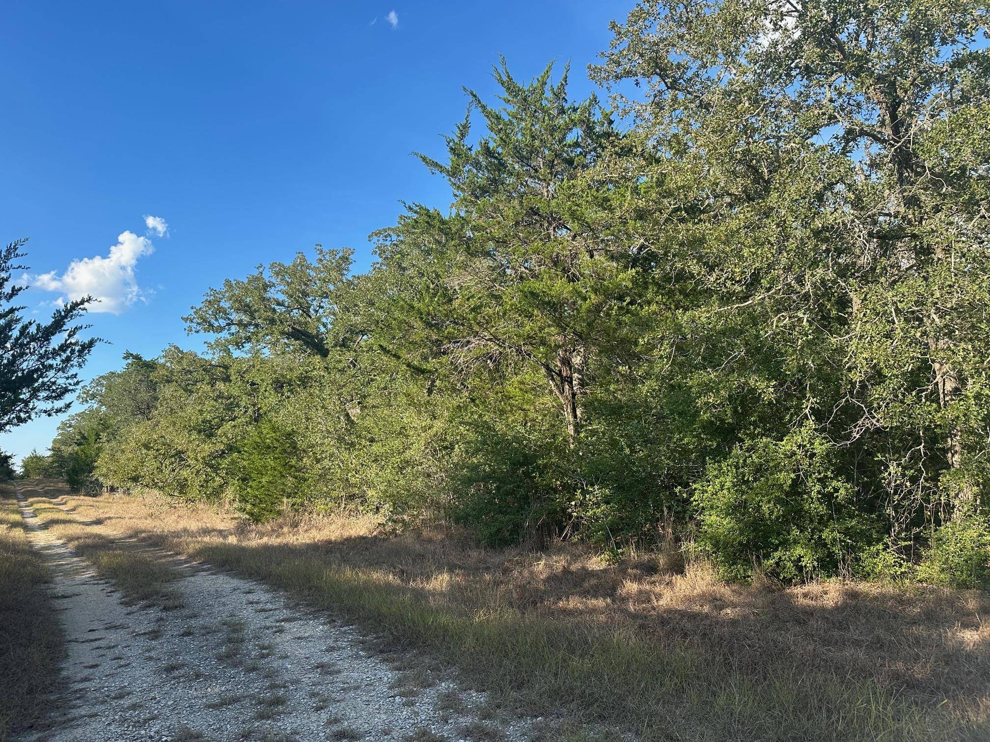 000 Rook RD, West Point, TX 78963