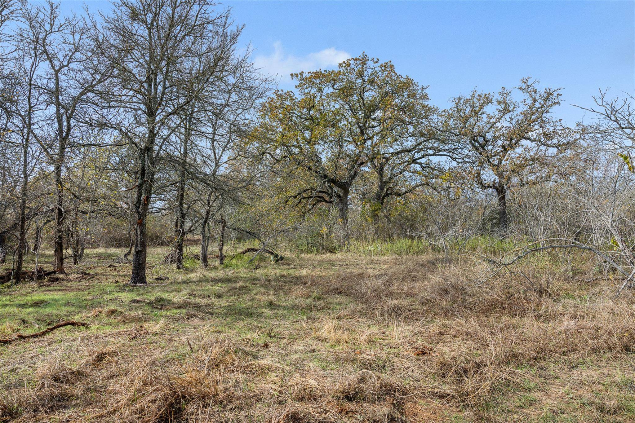 1088 Bugtussle LN, Luling, TX 78648