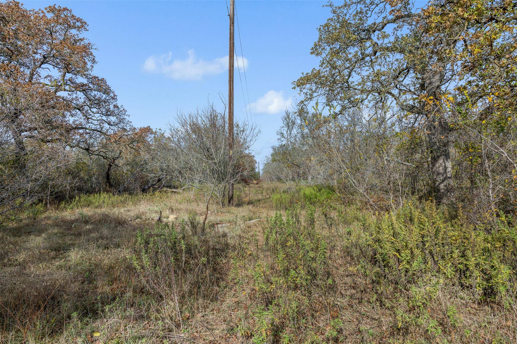 1088 Bugtussle LN, Luling, TX 78648