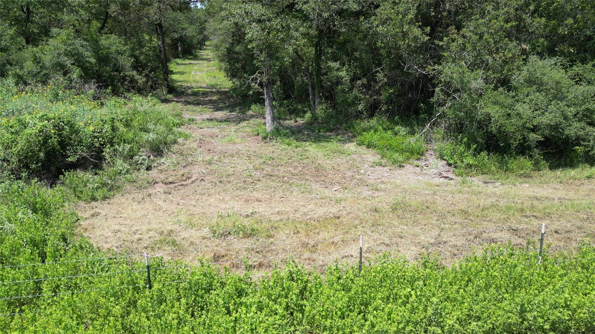 1742 County Road 413 N #TRACT 3, Lexington, TX 78947
