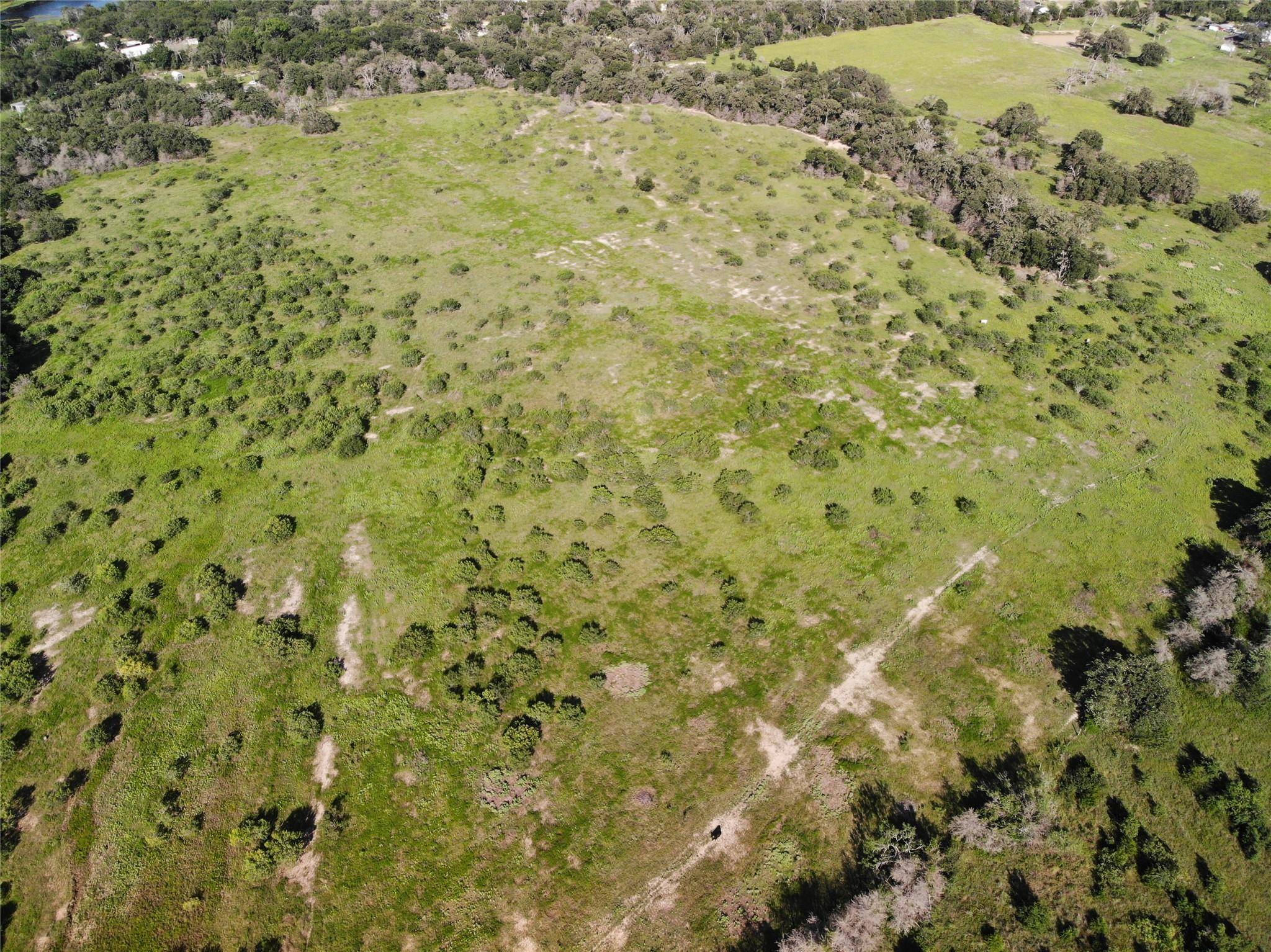 23.2218 Acres FM 908 RD, Caldwell, TX 77836