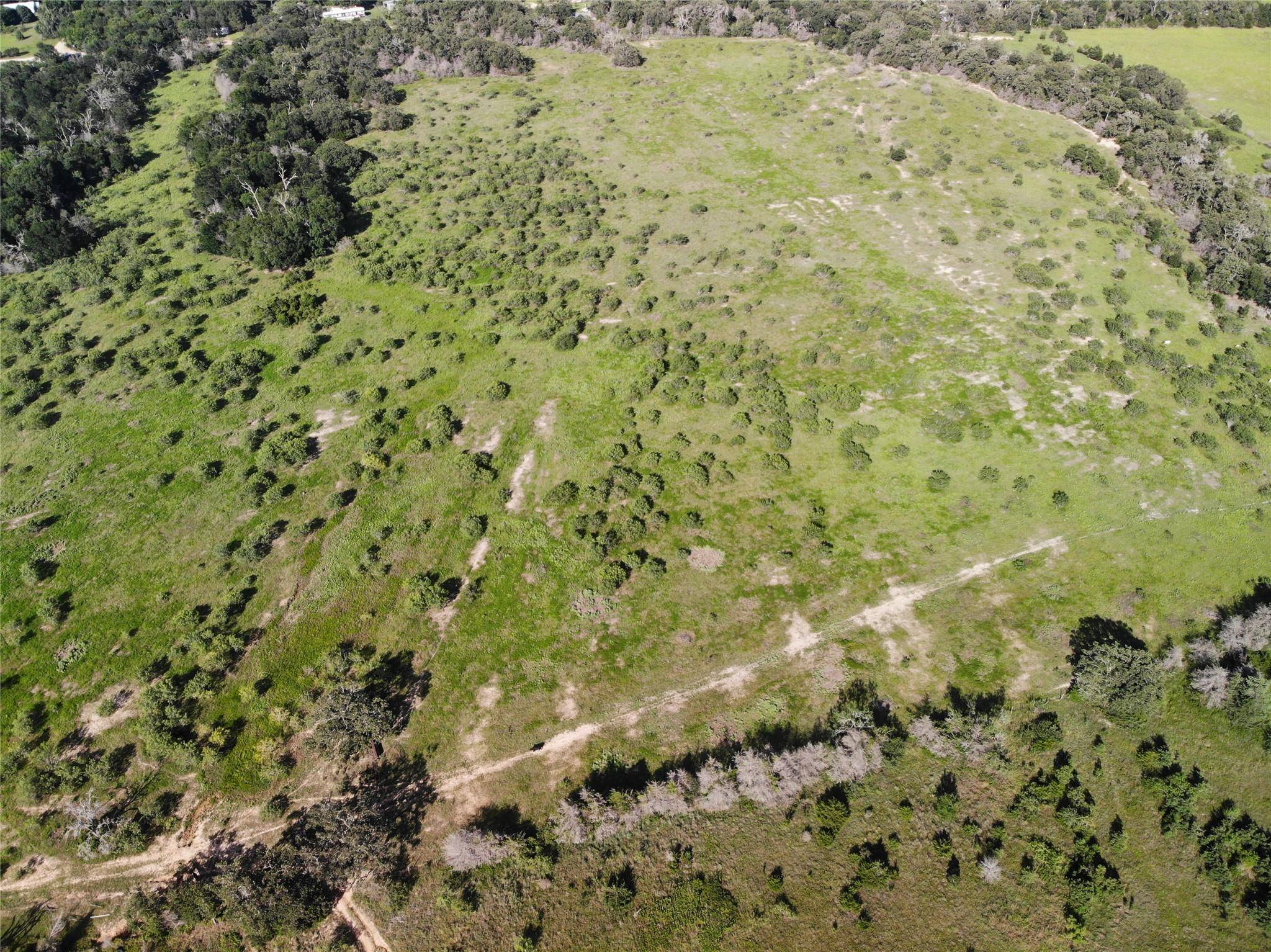23.2218 Acres FM 908 RD, Caldwell, TX 77836