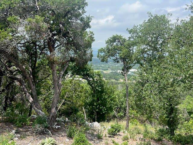 20454 Adobe TRL, Leander, TX 78645