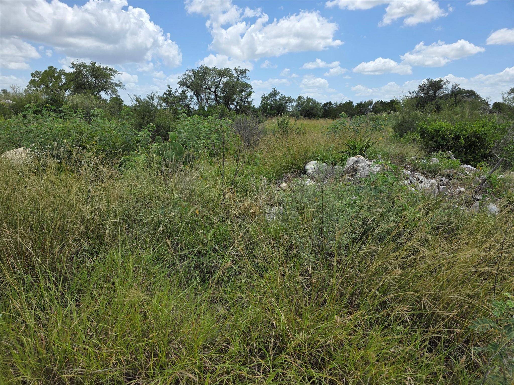 LOT 206 Enchanted  Oak PT, Spicewood, TX 78669